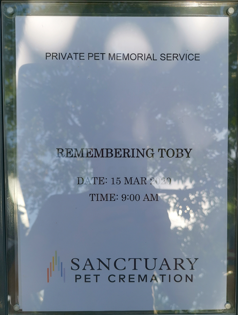 Remembering Toby