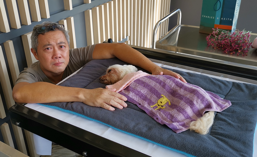 Sending Toby off for the last time