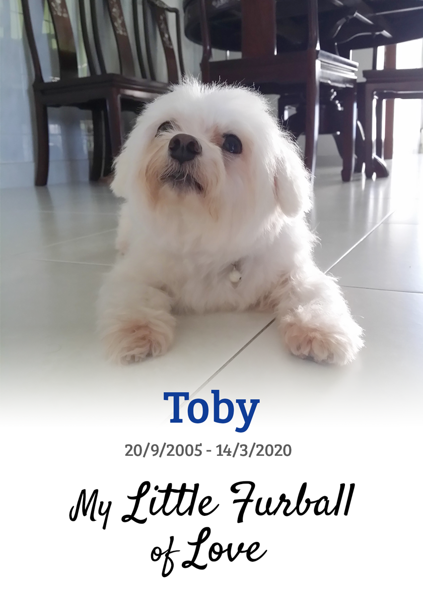 My Little Furball of Love